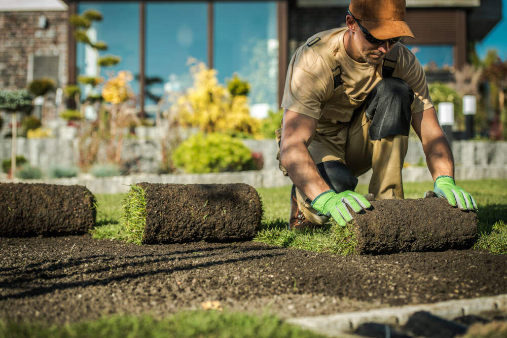 A landscape construction worker wearing protective gloves and sunglasses installs sod grass in a landscape construction project.