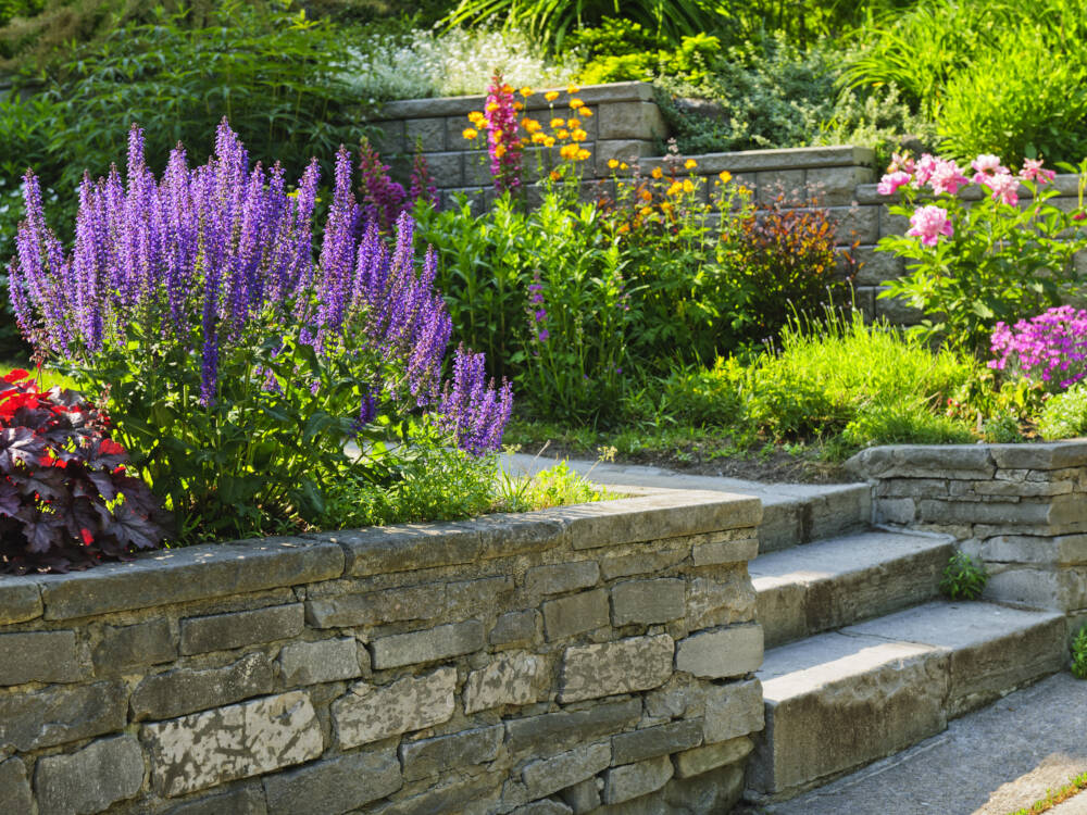 Beautiful, bright landscape plantings, stone retaining wall and stone steps in a well-designed landscape garden.
