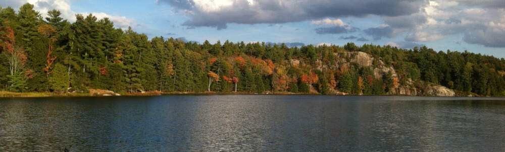 Fall colours are in full glowing display above a granite rock outcrop on Lake Joseph near Rosseau, Muskoka, Ontario.