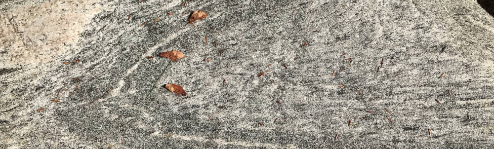 An exposed face of granite bedrock displays the grain structure of the Canadian shield bedrock in Muskoka, Ontario.