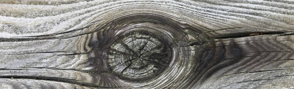 Silver-grey weathered wood grain is punctuated by a wooden timber knot in Muskoka, Ontario.